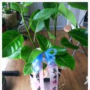 뱅갈PC방 이미지