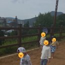 샬롬어린이집 이미지