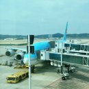 미국여행 뉴욕행 대한항공 기내식 후기, 인천공항 제2터미널 T2 신세계면세점