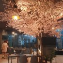일사천리부동산 공인중개사사무소 이미지