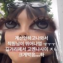남울진도장 | D+1~8) ついに日本へ！