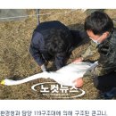 전남야생동물관리센터 이미지