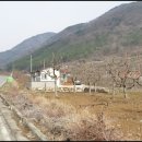 대연성심공인중개사사무소 이미지