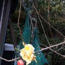 소구월사거리 이미지