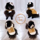 펫츠미 | 강아지 무스탕 펫츠앤미 겨울옷 양털 하네스