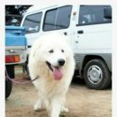한결 Daum카페