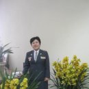 김효금 Daum카페