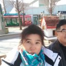 한국안전교육연합회