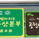 나무컨설팅 이미지