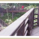 도음산 산림문화수련장 이미지