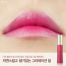 디어 플로라 네이버블로그