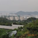 장생사슴농장 이미지