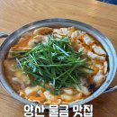 유황오리촌 | 양산 물금 맛집 몸보신과 해장을 한 번에 정원오리촌