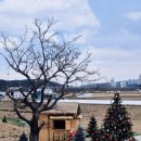 춘소커피 - 청양군 만수로 1597-2 | 춘소커피
