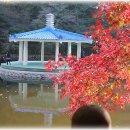 청남초교 이미지