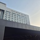 제주도 여행 - 메종 글래드 숙박후기 제주(프리미엄 더블룸) -내돈내산