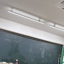 고양이와 영혼을 바꿀 수 있는 기회를 주세요