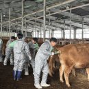 강원특별자치도축산기술연구소 이미지