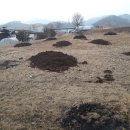 동충주농업협동조합 이미지