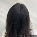 나를 바꾸는 명상 | 군산두피페인팅 잘하는곳 가격 효과 후기 3가지 한방정리