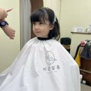 컬리 살롱 이미지