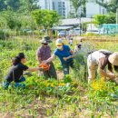 양천도시농업공원 이미지