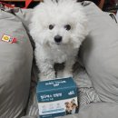 춘삼농장 이미지