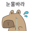 애콰이엇커피