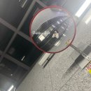 [직장인점심/잠실] 서두산 딤섬 만두 2호점_송파 방이동 맛집