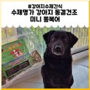 수제명가 강아지 동결건조 미니 통북어 후기~!