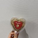 도그먼트 이미지