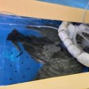 선유도밥상 이미지