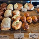 신흥제분 | [서울, 마포구] 우리밀 사워도우 추천! 모든 빵이 맛있는 망원동 빵지순례 신상 빵집, 코토베이커리