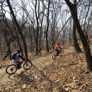 숲.MTB