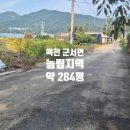 향정농장 네이버블로그