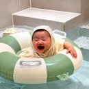 도경약품 | 고양 삼송 아이와 가볼 만한 프라이빗 파티룸 워터룸 두두 키즈풀 + 공간 대여