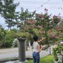 메르벨르리조트 | 태안 몽산포 해수욕장 애견동반 메르벨르 카페