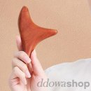 또와 이미지