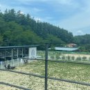 언더아멍 이미지