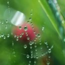 으뜸농원 이미지