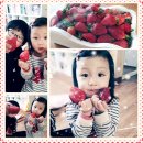 가누리농장 이미지