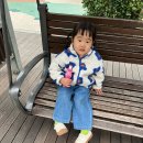 놀랍게도 2023년 12월 일기