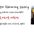 성구농장 이미지