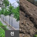 구갈 이미지
