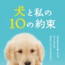 강아지와 나 이미지