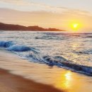 쉼송지호 이미지