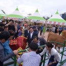 한우야한우야 이미지