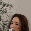 (YOUNG)콜라겐