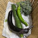 솔밭농장 이미지