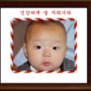 포토스케이프 연습 이미지